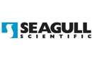 Seagull